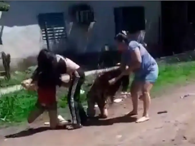 Una disputa entre vecinas por el robo de una gallina terminó con una joven y su mamá apuñaladas