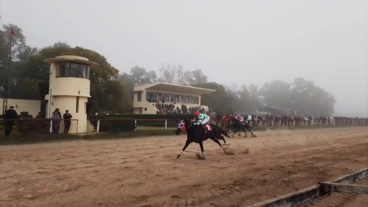 Turf: “El Negro Luis” brilló en el Gran Premio 25 de Mayo