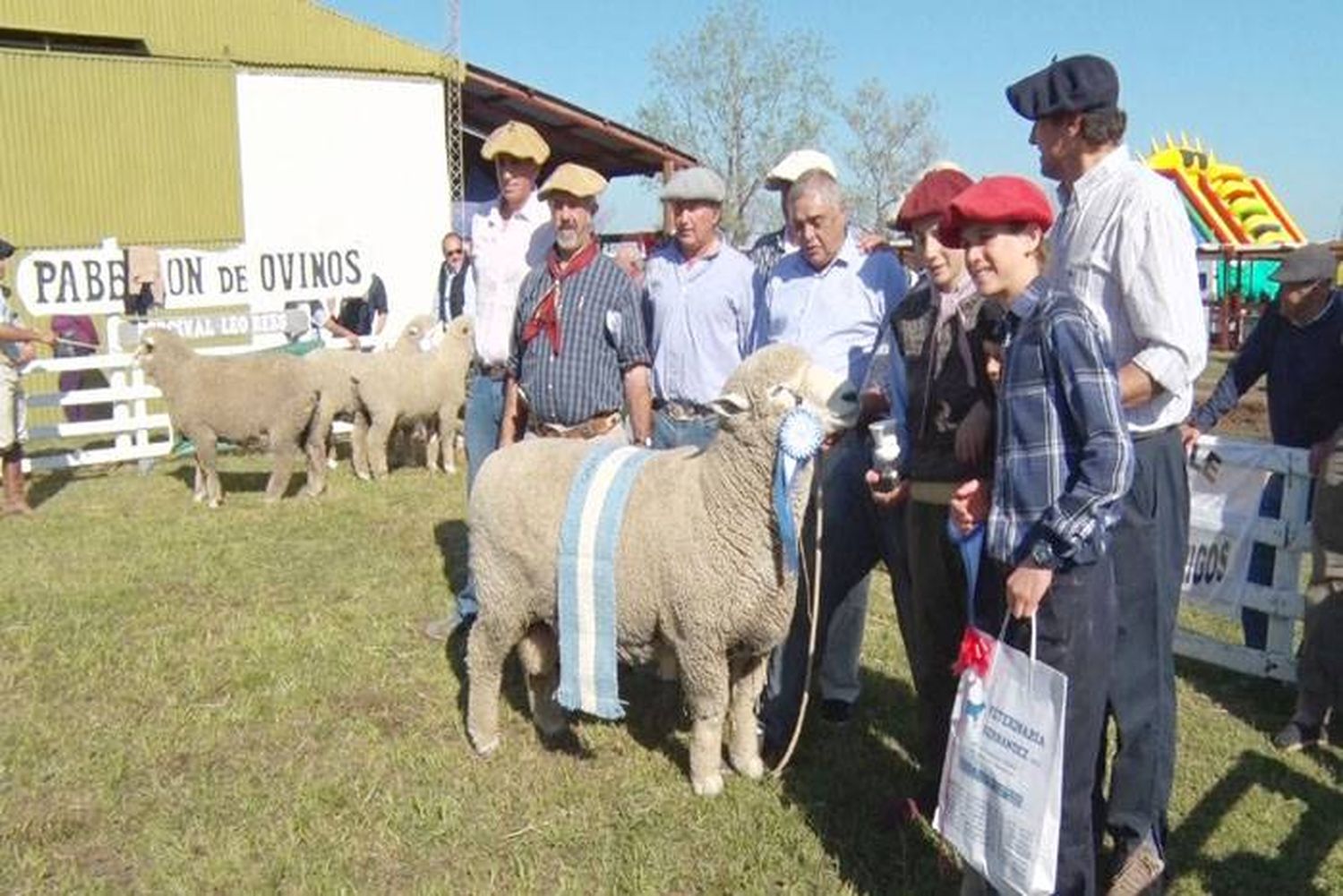 La producción ovina busca ofrecer carne todo el año