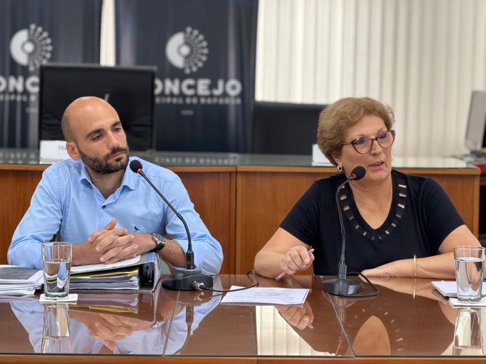 pierluiggi concejo 315 lotes - 1