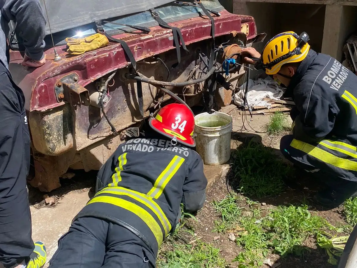rescate perro - 3