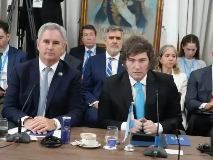 "El tiempo de tener un acercamiento tímido en esta materia se ha agotado", dijo Milei.