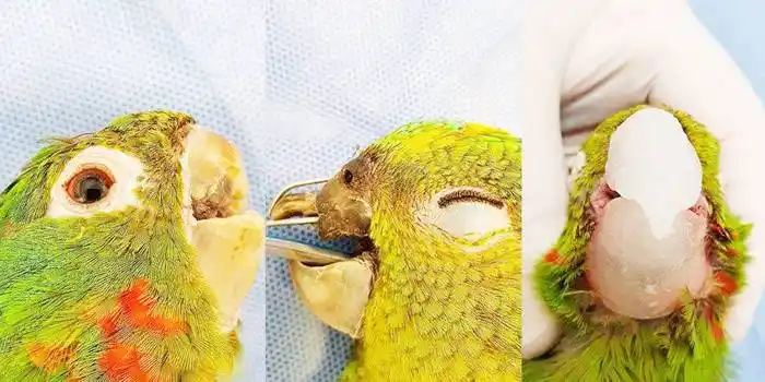 LA CIENCIA AL SERVICIO DE⬦