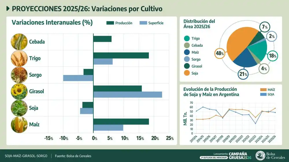 proyecciones por cultivo BCBA gruesa 26