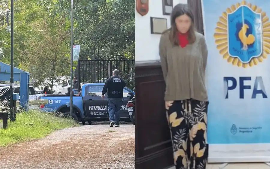 La progenitora detenida por homicidio