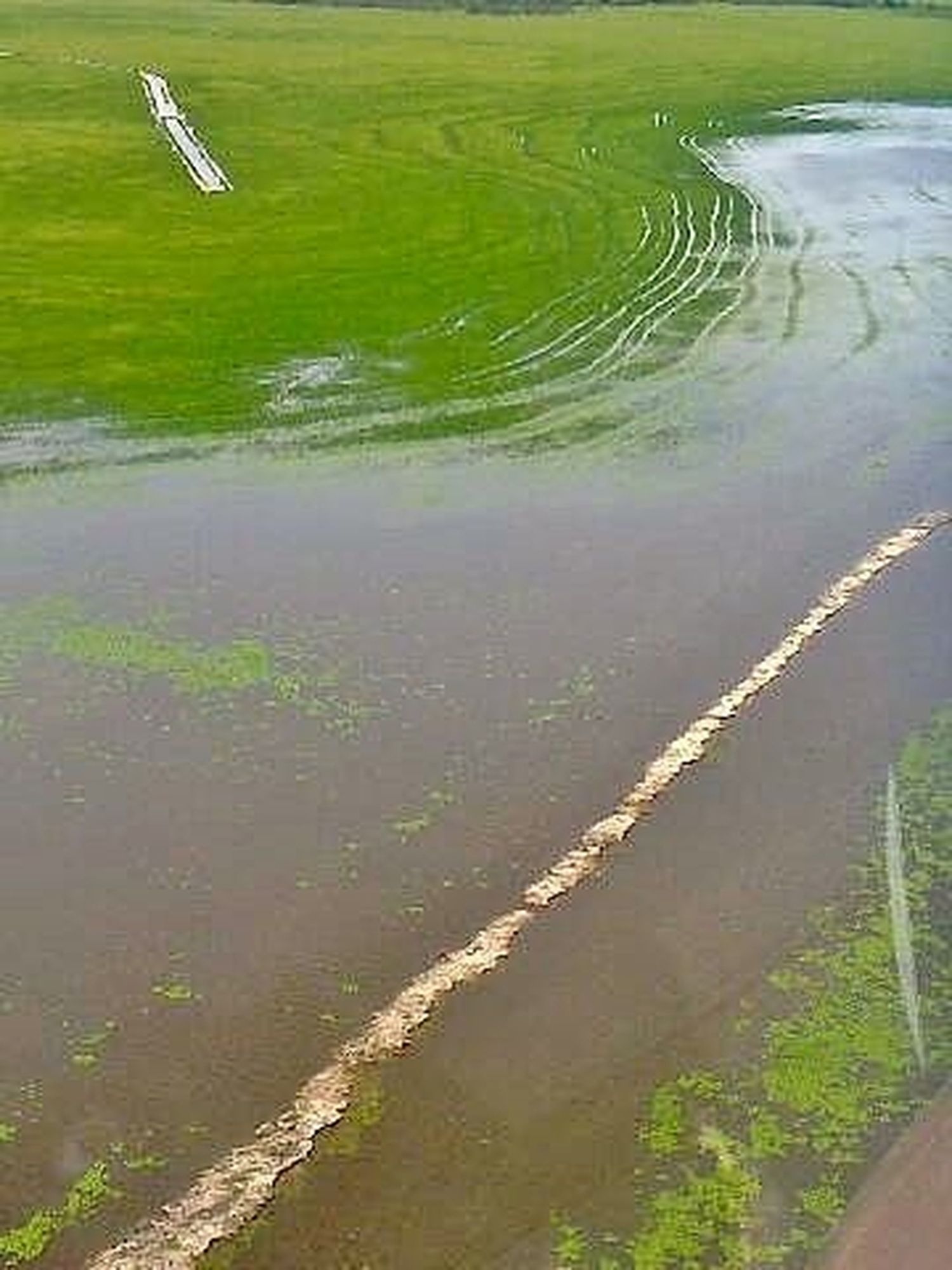 Se espera una menor campaña arrocera a causa del clima