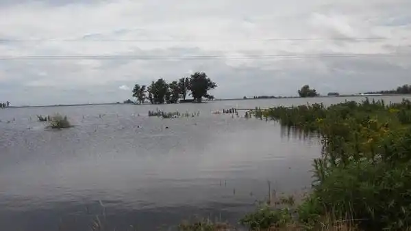 Inundación en Carlos Tejedor: Esperan el máximo ingreso de agua este jueves