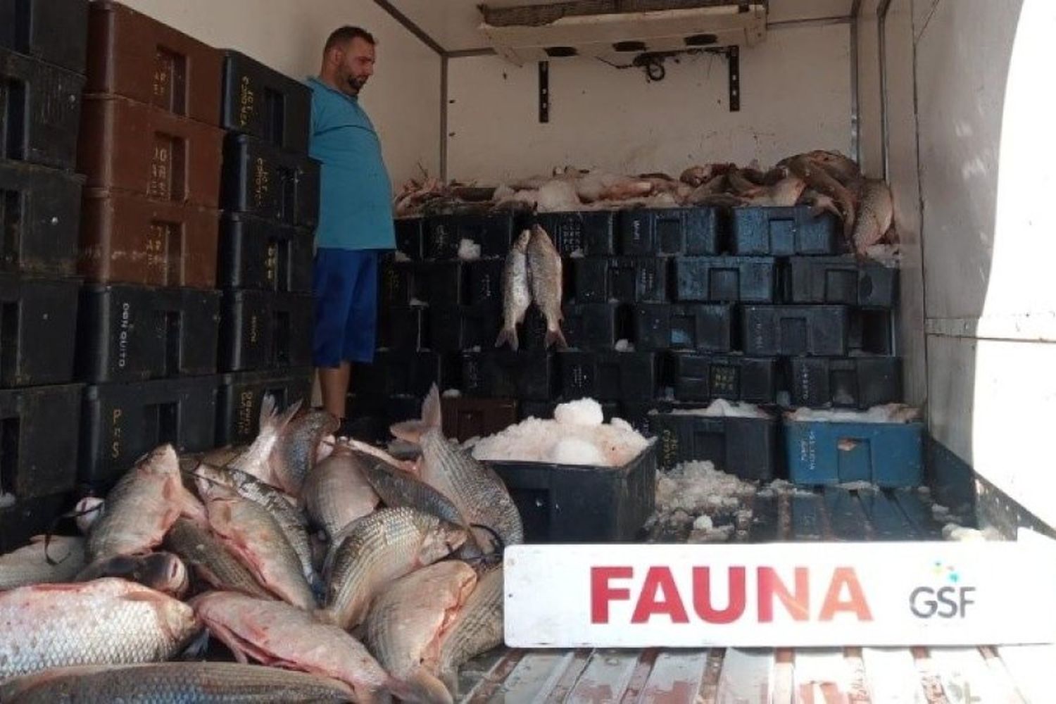 Incautaron unos 4 mil kilos de pescado: los 1800 ejemplares serán donados a entidades