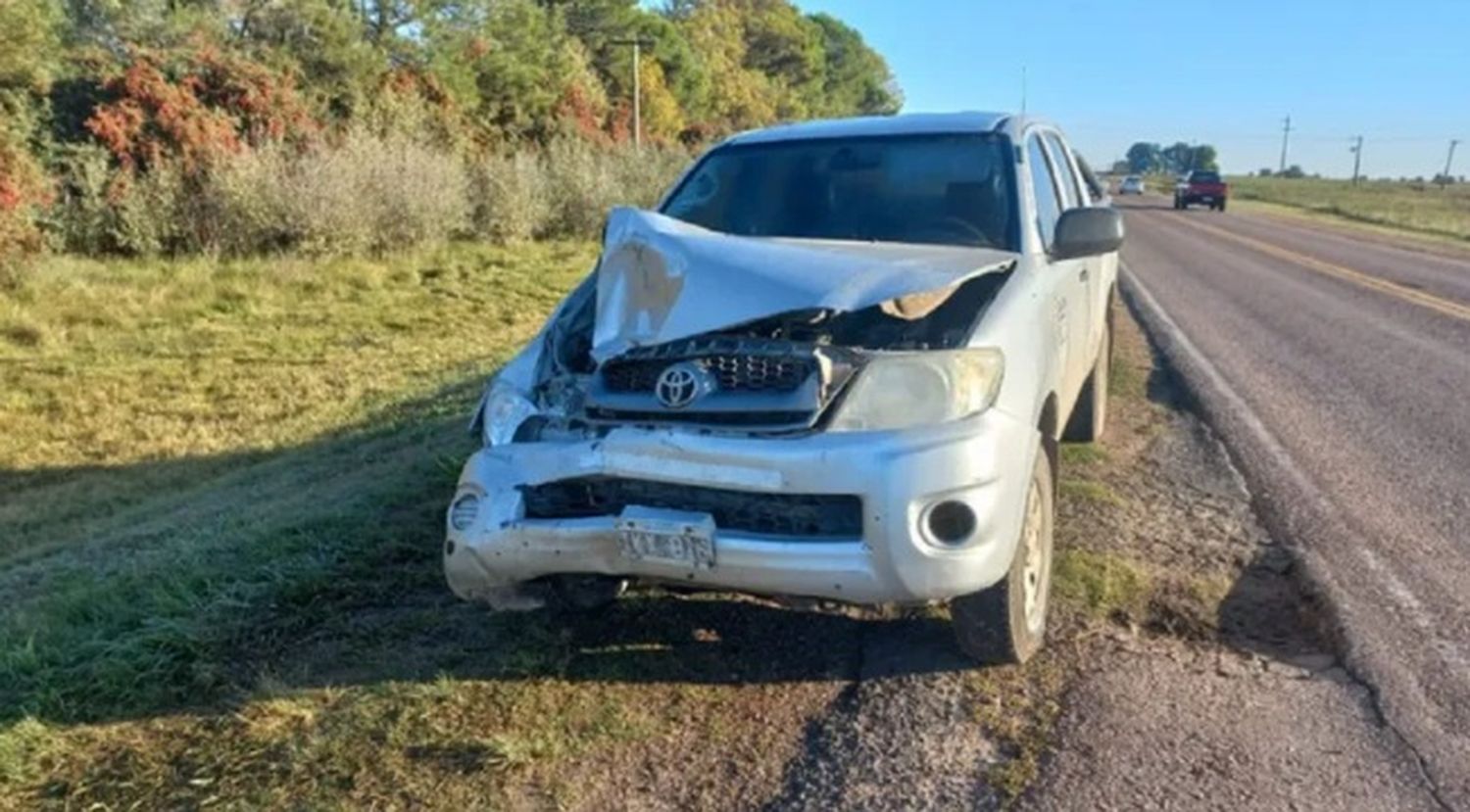 Fuerte choque en Ruta 12: murió un caballo