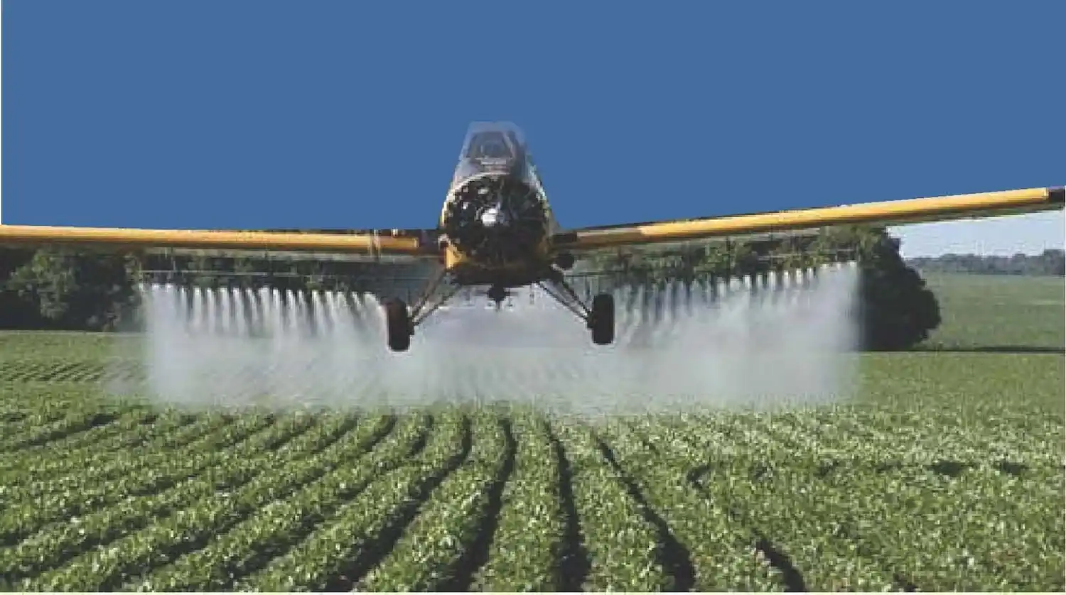 Manifiesto contra los agrotóxicos‏