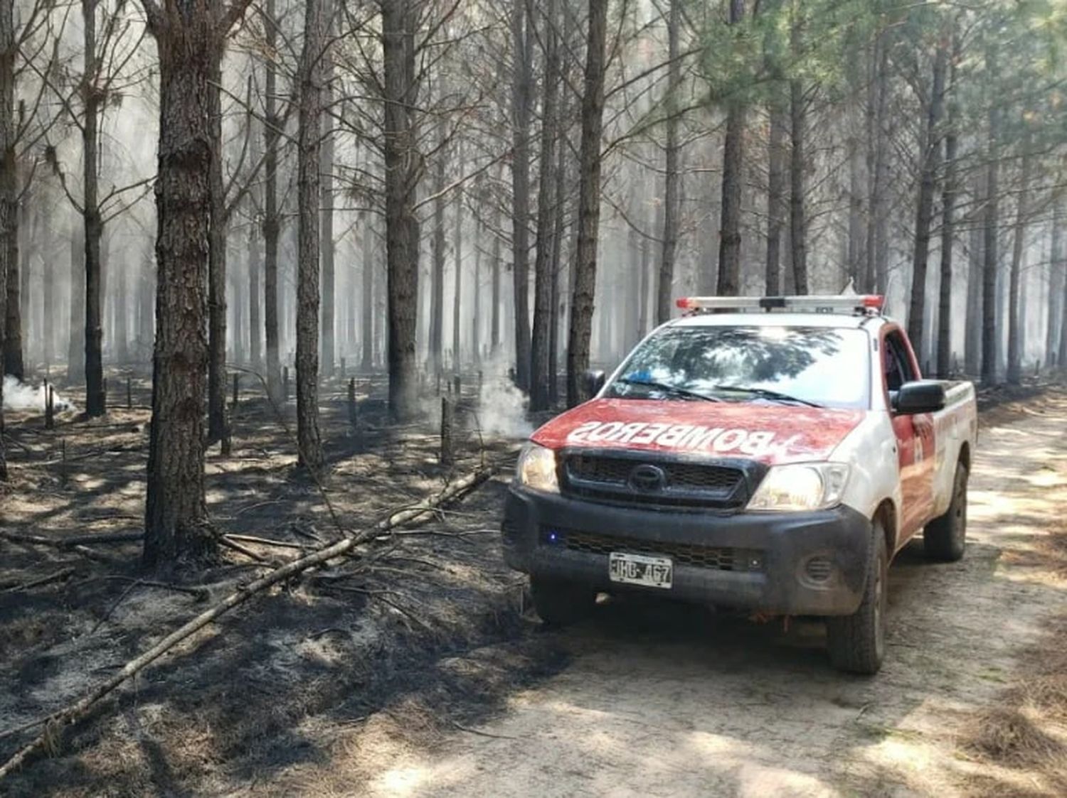 CRA y la Asociación Forestal Argentina rechazaron los “datos incorrectos” que dijo Juan Cabandié