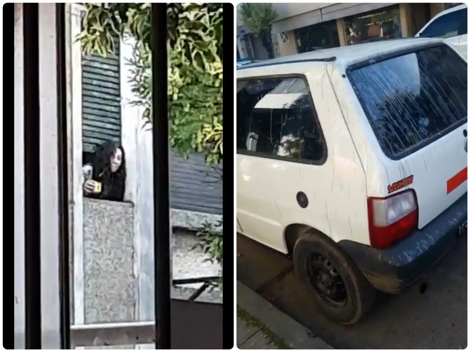 Vecinos captaron a la señora que le arroja pintura a los autos