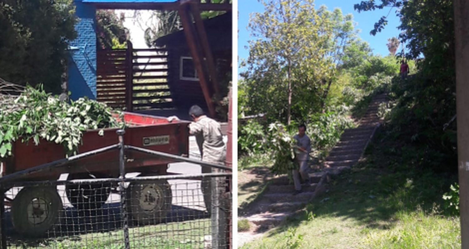 #ReporteCiudadano: Limpieza en la escalera