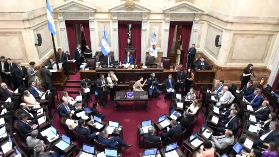 El Senado aprobó con cambios la Boleta Única de Papel