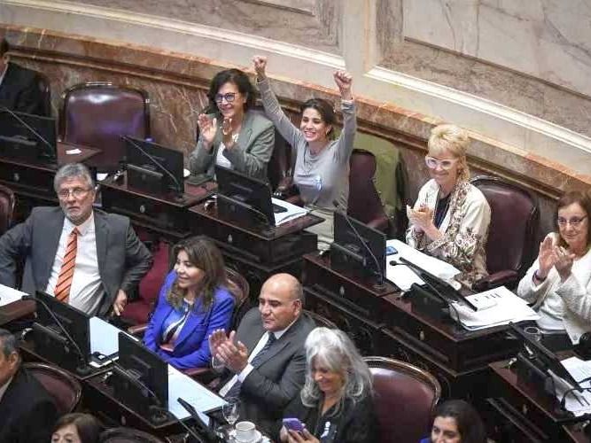 El Senado insistió con la emergencia 
pediátrica y el Gobierno debe promulgarla