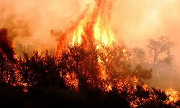 Diez intensos focos de incendio azotan a La Pampa