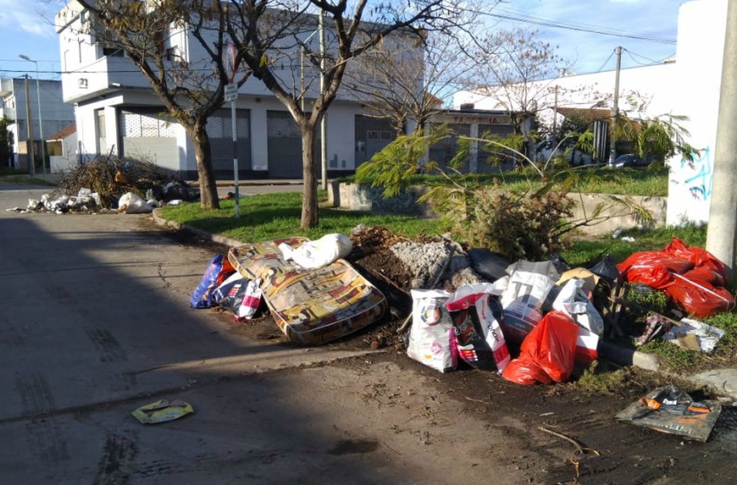 Basurales clandestinos: continúa la desidia en distintas esquinas de la ciudad