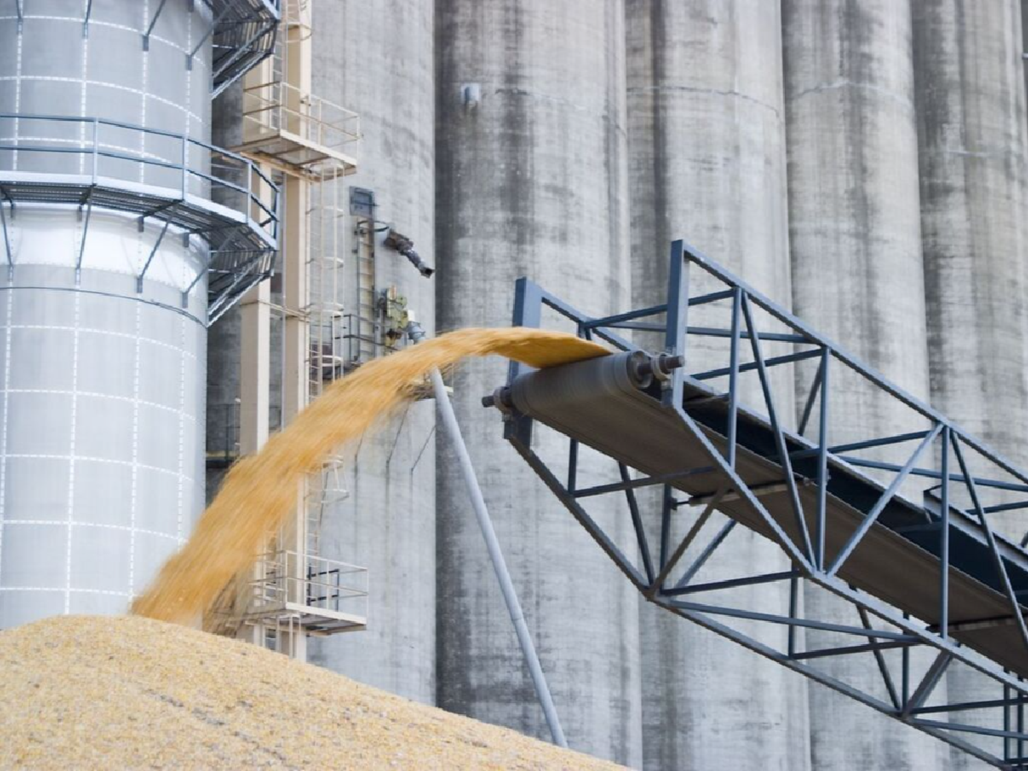 Para los harineros, la multa que les impuso Comercio Interior es "arbitraria e ilegal"