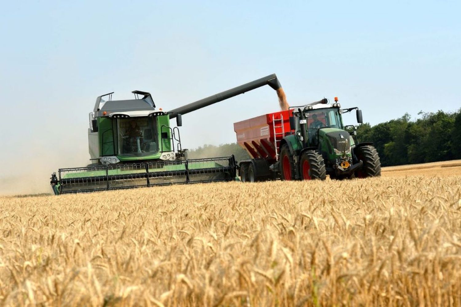 La Federación Agraria advierte que el sistema está a punto de colapsar por falta de insumos
