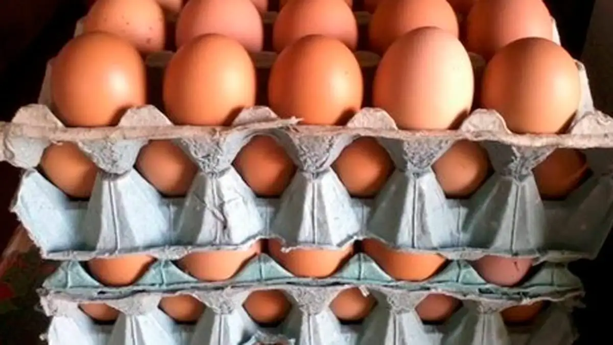 Productores avícolas de Crespo donan 11 mil huevos por mes al Banco de Alimentos de Paraná