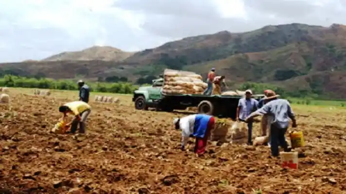 PRODUCCIÓN DEL CAMPO CORRE PELIGRO por falta de gasoil: «se viene el desabastecimiento»