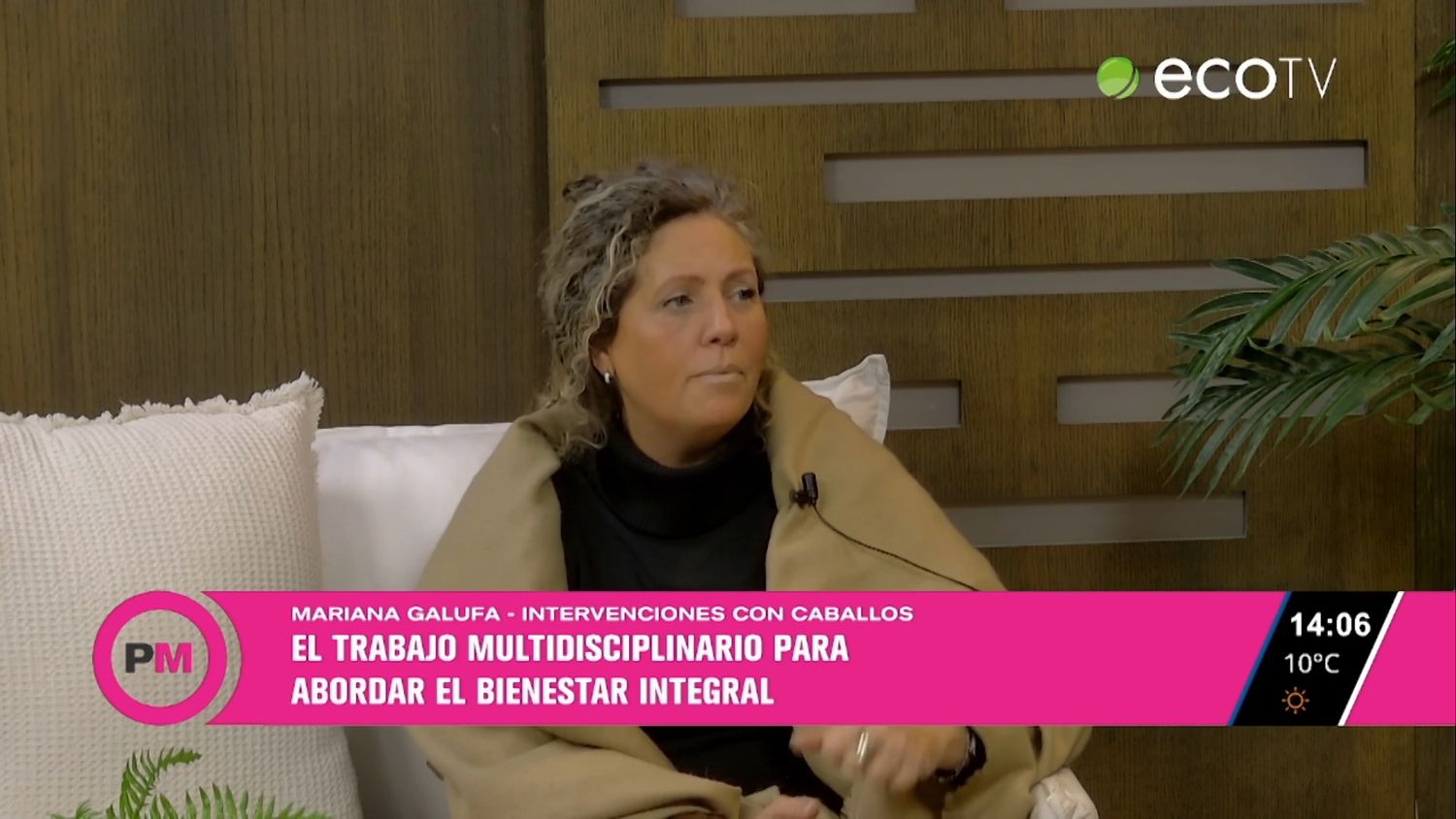 El caballo como co-terapeuta