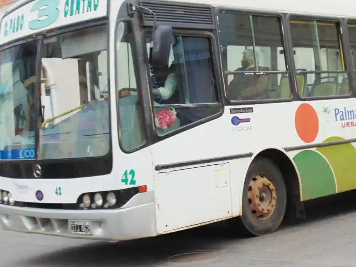 En la provincia, el transporte público será libre y gratuito