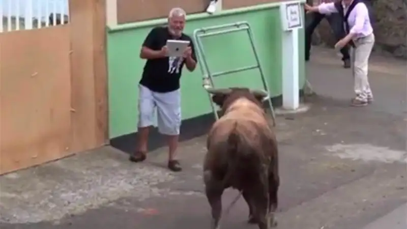 Video: estaba filmando a un toro y recibió una brutal cornada