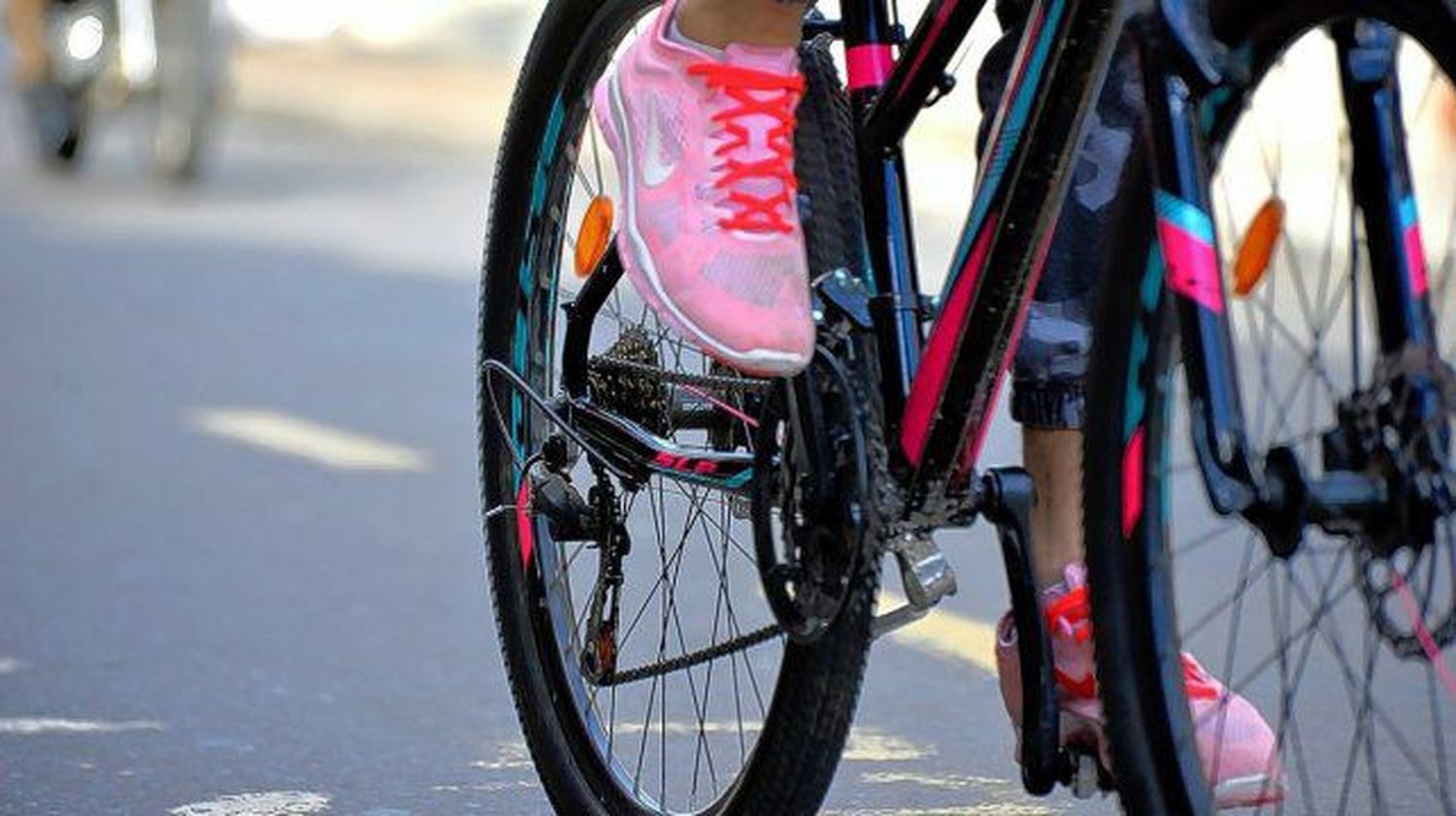 Bicicletas: hay modelos que valen igual que un auto 0 KM