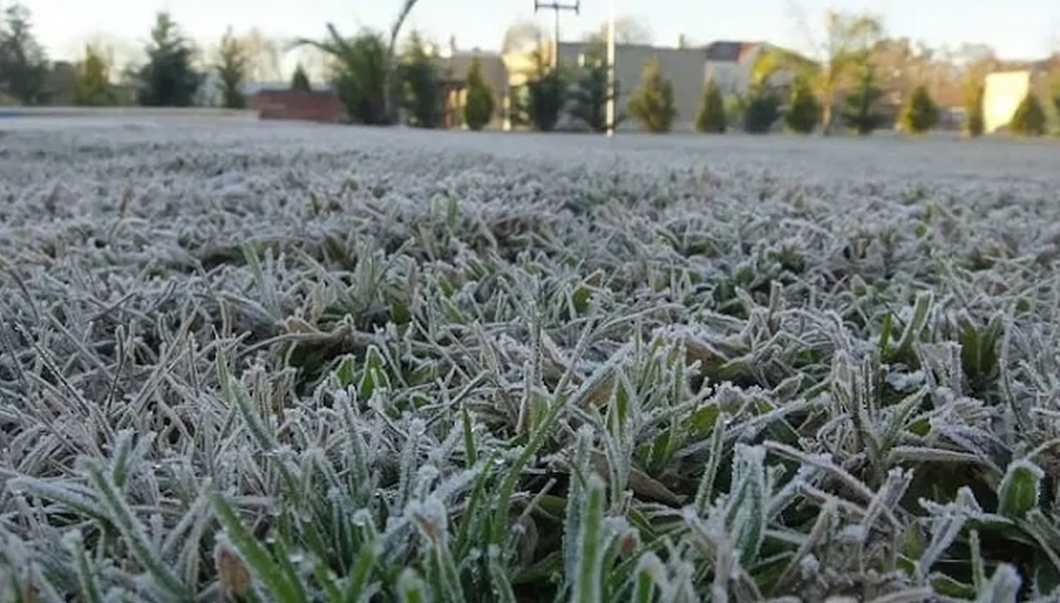 Siguen las bajas temperaturas en el sur de Santa Fe.