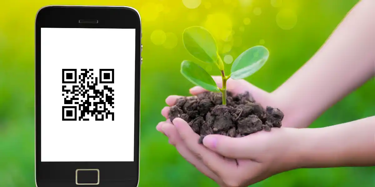 Del código de barras al QR con Blockchain: la evolución a la historia del cultivo verificada del campo al mercado