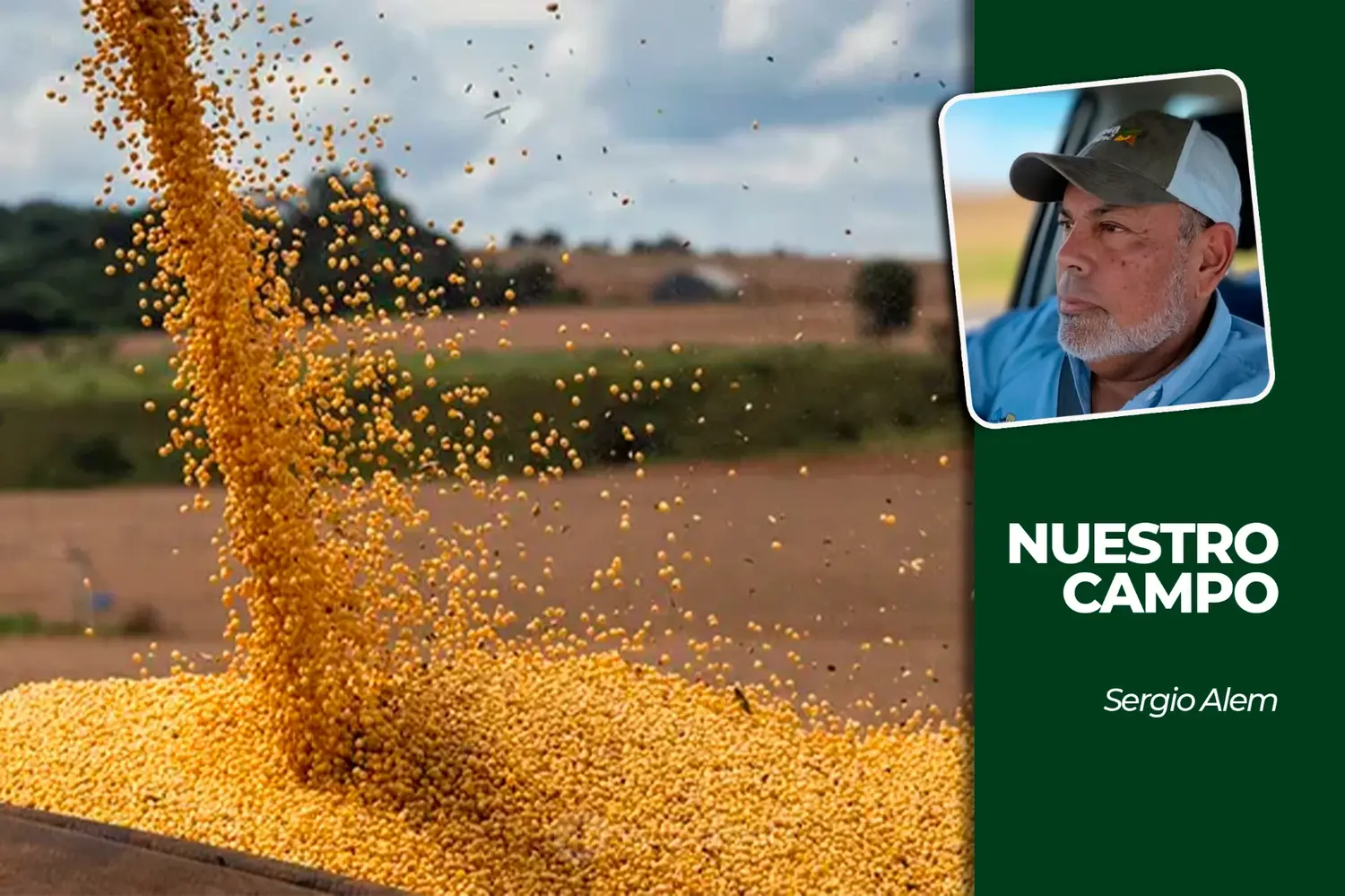 Cañuelas inició la semana sin ingresos y la soja cotizó a 555.000 pesos por tonelada