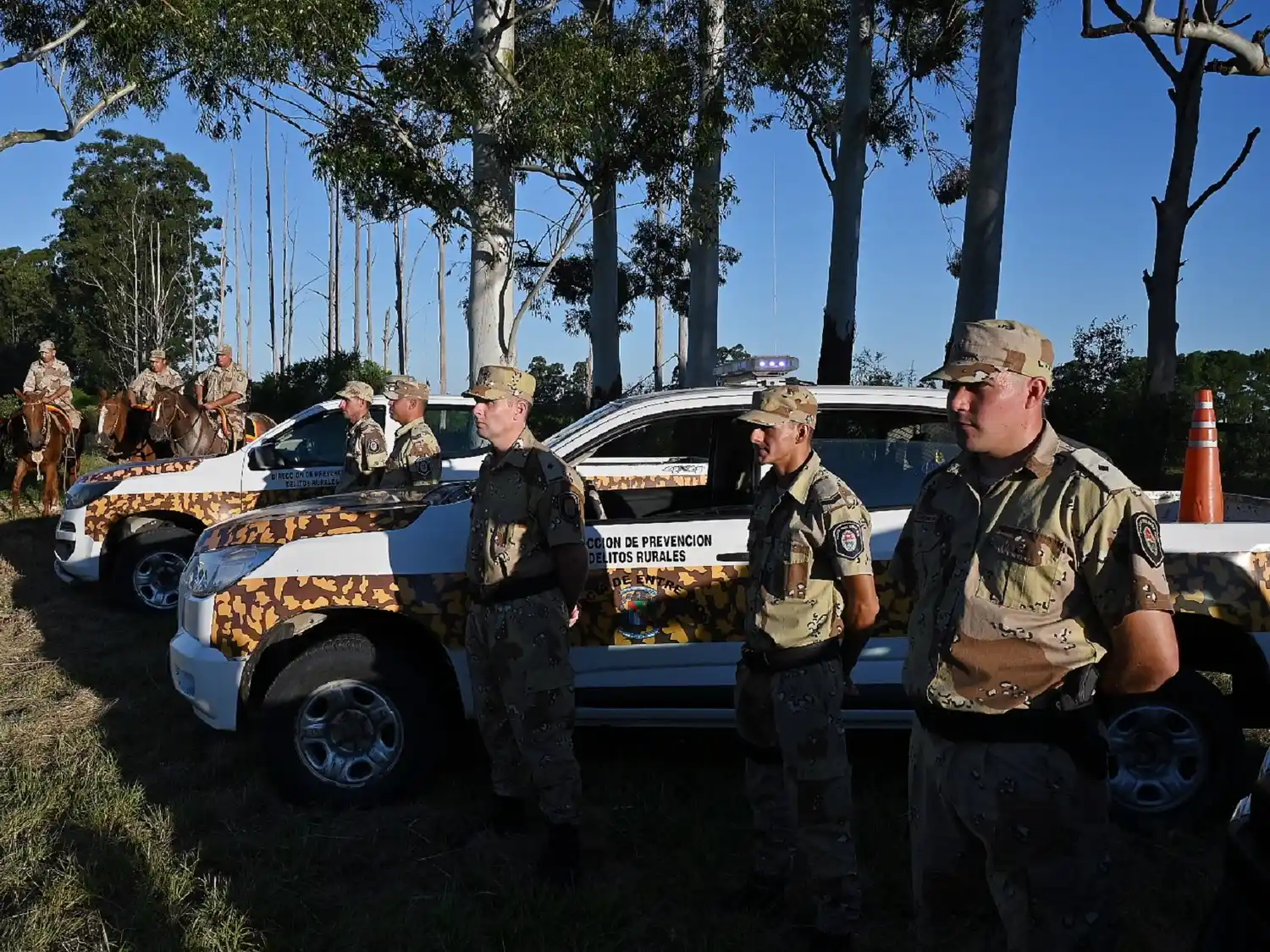 Controles preventivos con resultado positivo en carnicerías de Colón y San José