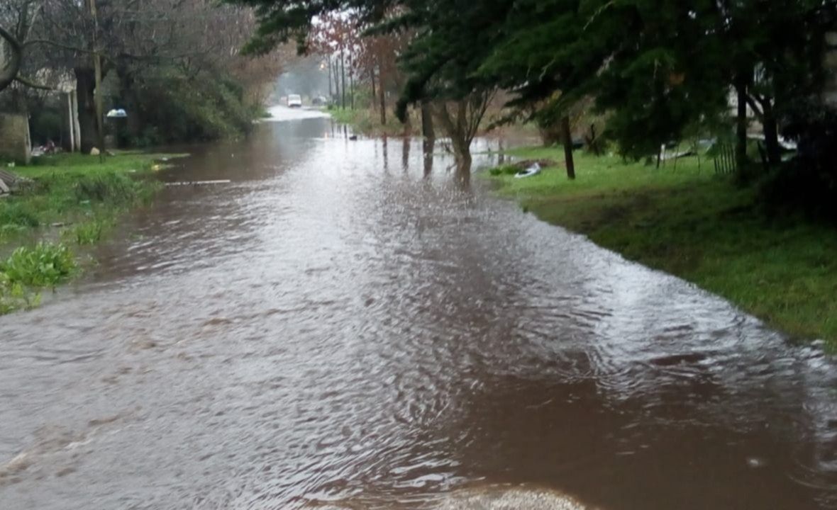 Temporal en Mar del Plata: Volvieron a suspender las clases