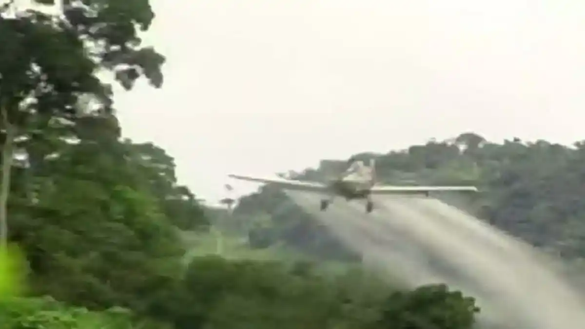 Colombia eleva meta de erradicación de narcocultivos en medio de presiones de EE. UU.