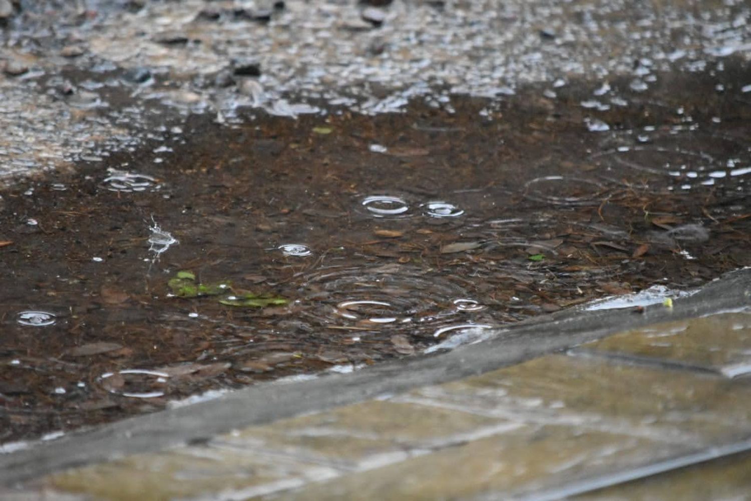 San Pedro registró su temperatura más alta del año y pronostican lluvias y tormentas este lunes