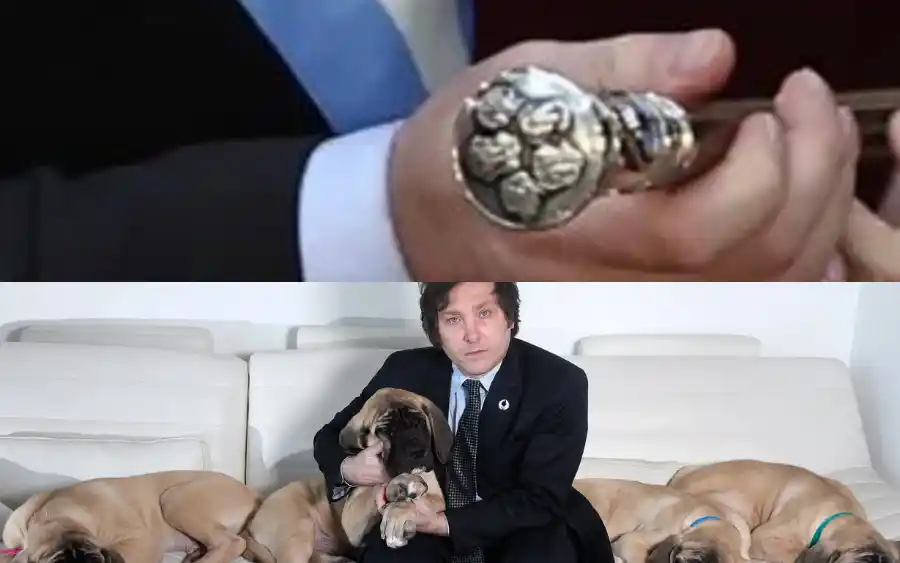 Perros bastón presidencial