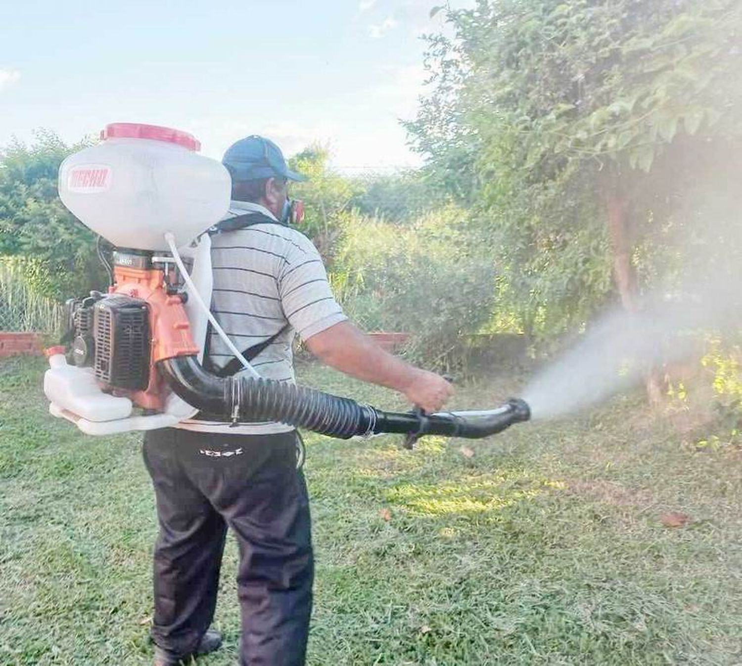 En la última semana se registraron 912 casos
de dengue; 491 en la ciudad de Formosa