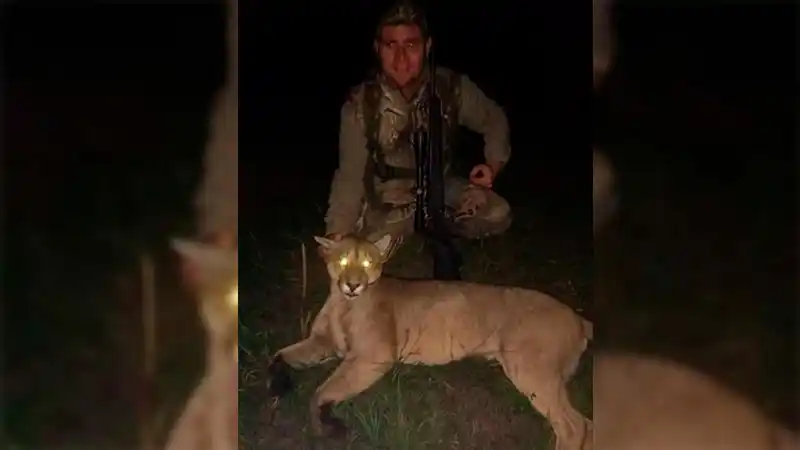Cazó un puma en Entre Ríos, se fotografió y se viralizó: le allanaron la casa
