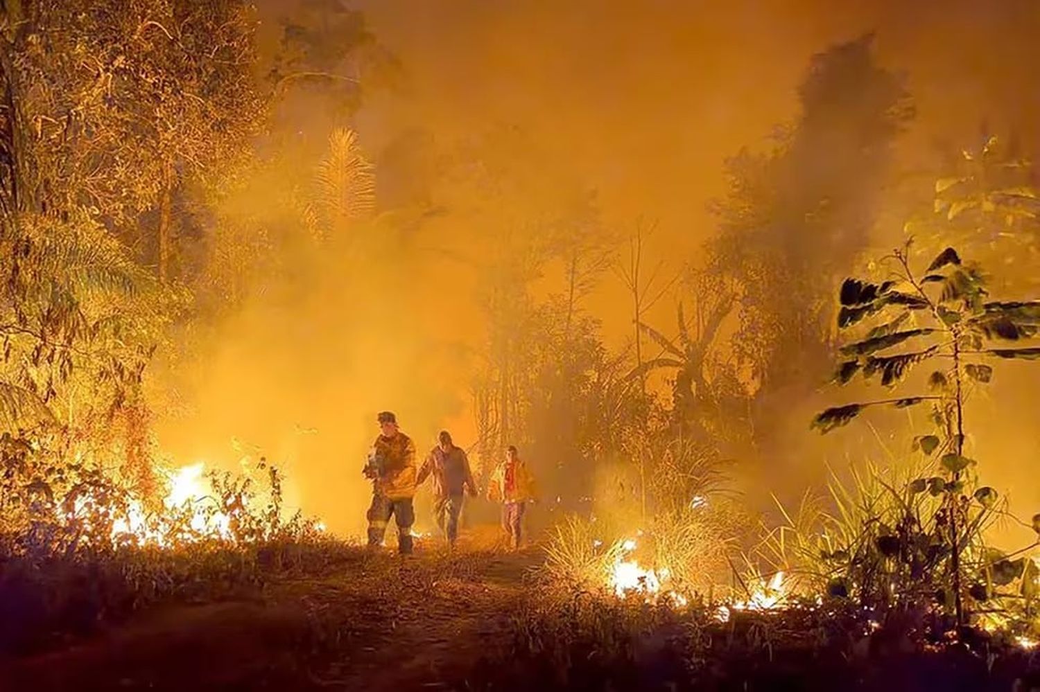 La mayor parte de los incendios se registra en el departamento de Santa Cruz (Bolivia) FOTO: Infobae.