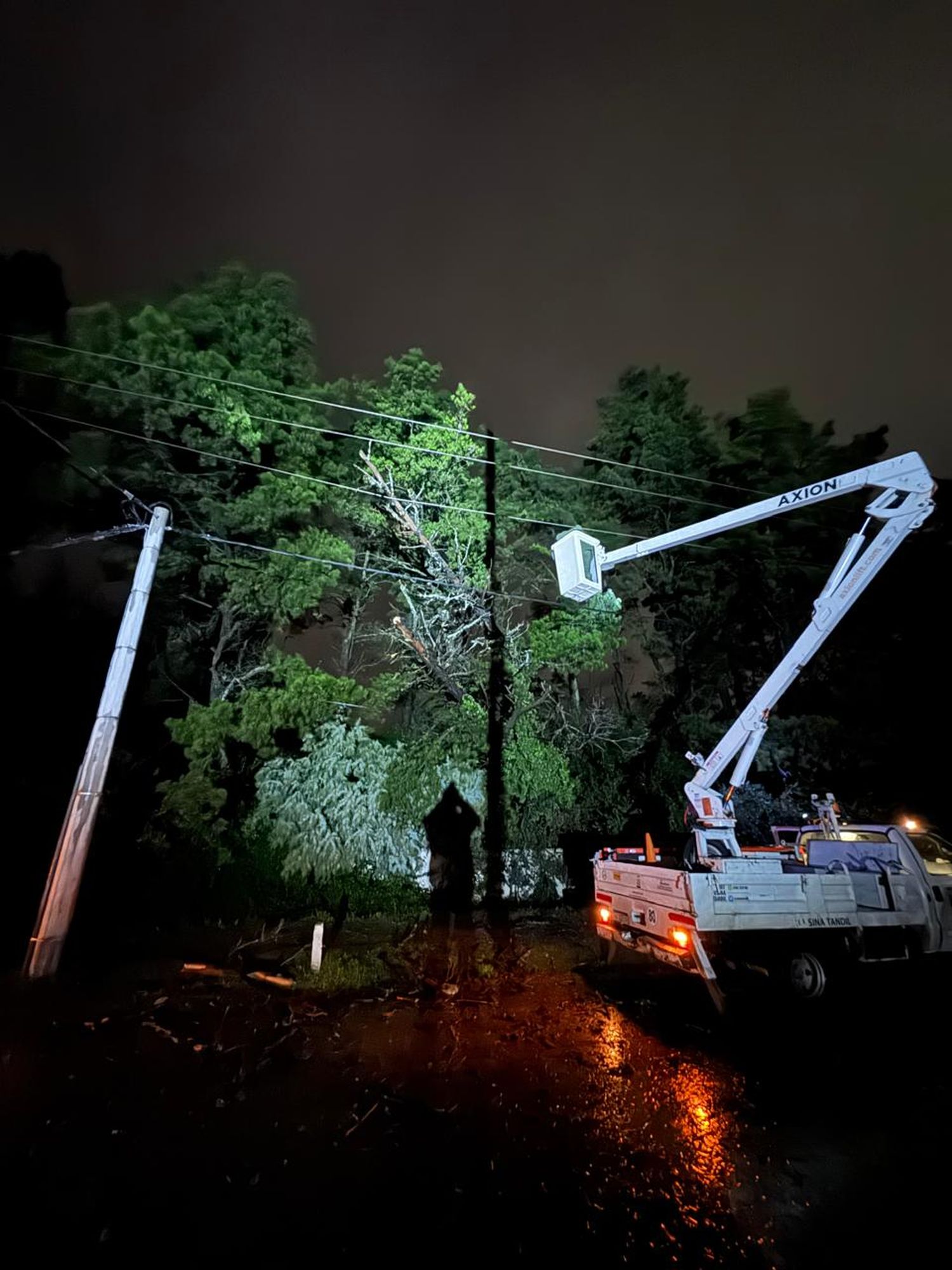 Hubo cortes de luz en varios barrios como consecuencia de las ramas y árboles caídos por el temporal