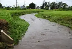 El Langueyú, su incidencia en el desarrollo territorial y la importancia de cuidarlo