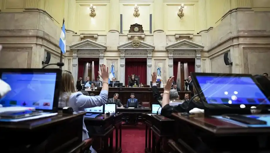 El Senado aprobó la reforma de la Ley de Salud Mental que habilita internaciones involuntarias