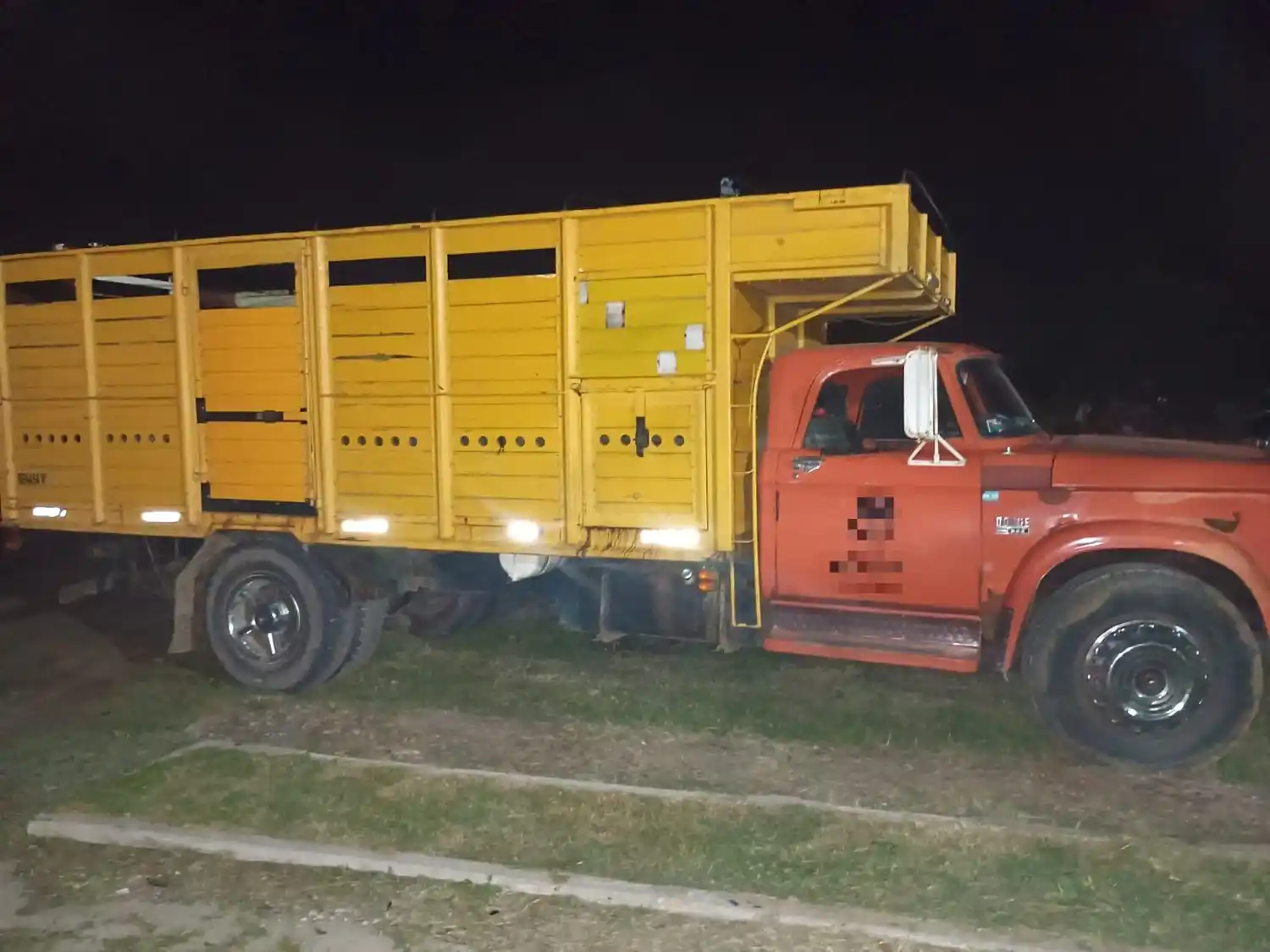 Recuperaron 15 vacas robadas en la región: tres hombres fueron detenidos por abigeato calificado