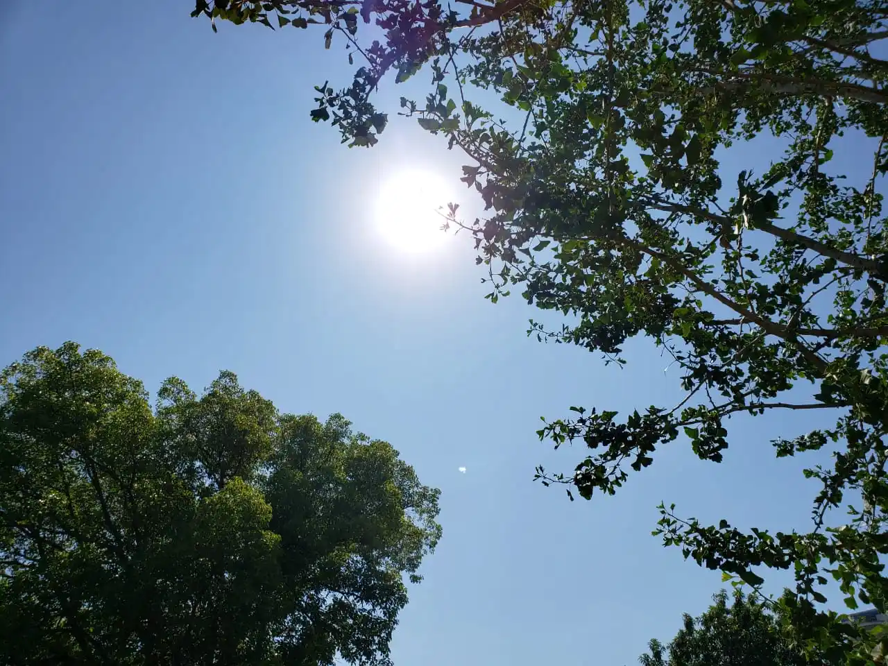 Una navidad en donde la temperatura llegó a 37ºC en Entre Ríos