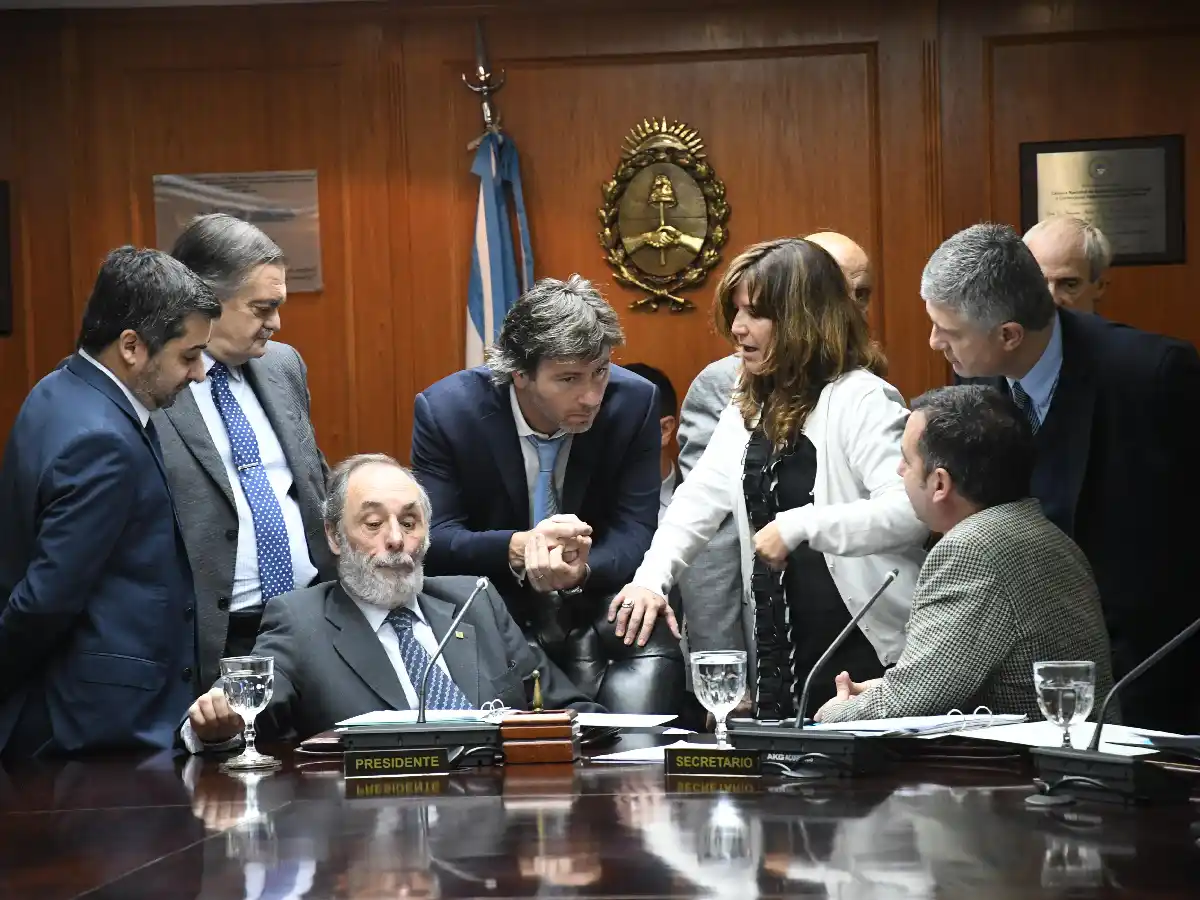 Pichetto no fue al Consejo de la Magistratura y preside la reunión Tonelli