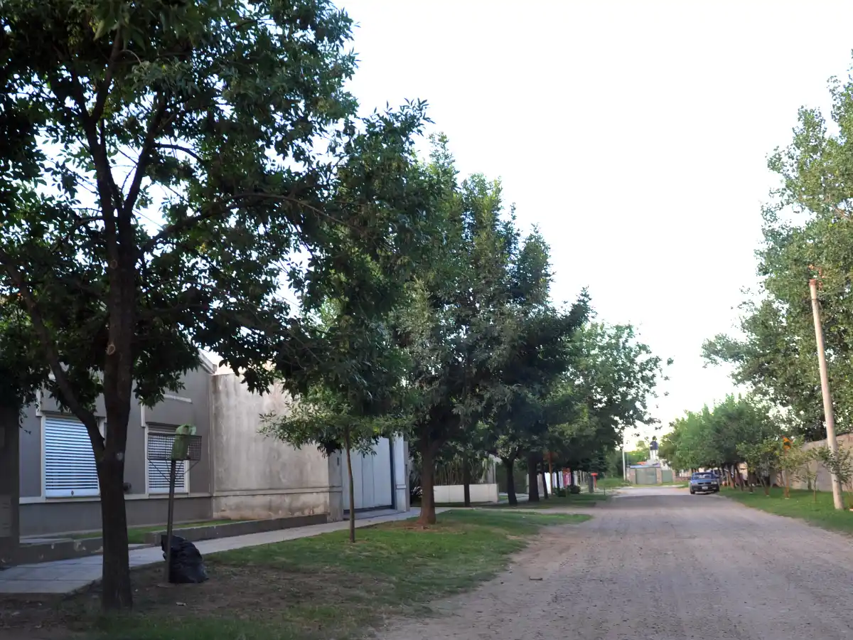 Robaron por quinta vez en una casa de barrio Independencia   