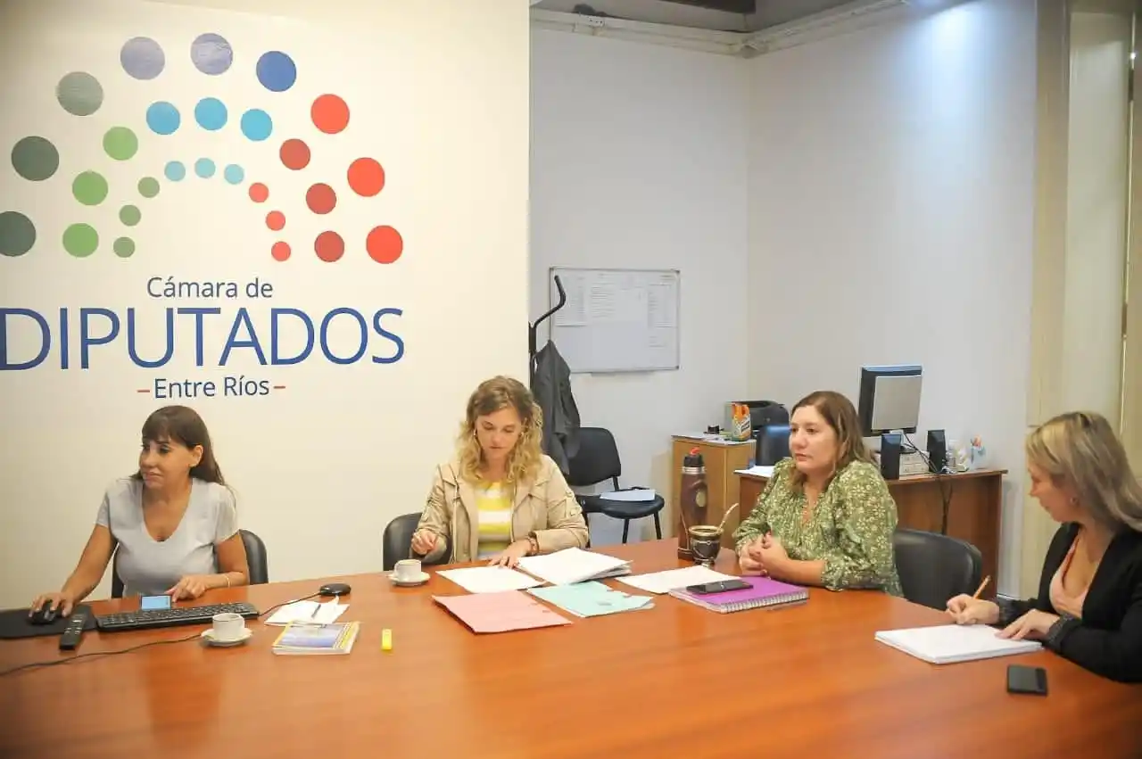 Se trató en comisión el proyecto de ley de igualdad y no discriminación en acuerdos escolares de convivencia