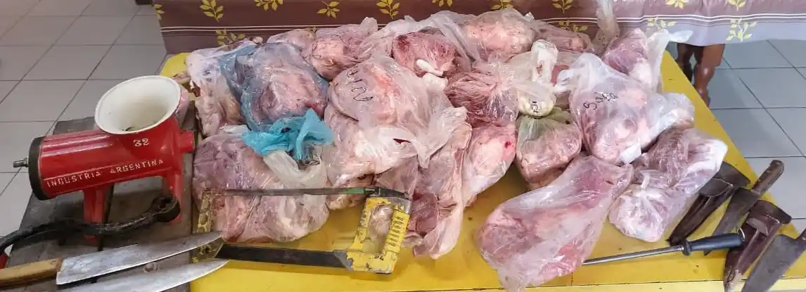 Decomisaron 70 kilos de carne en mal estado y 200 kilos de pescado no apto para consumo - 2
