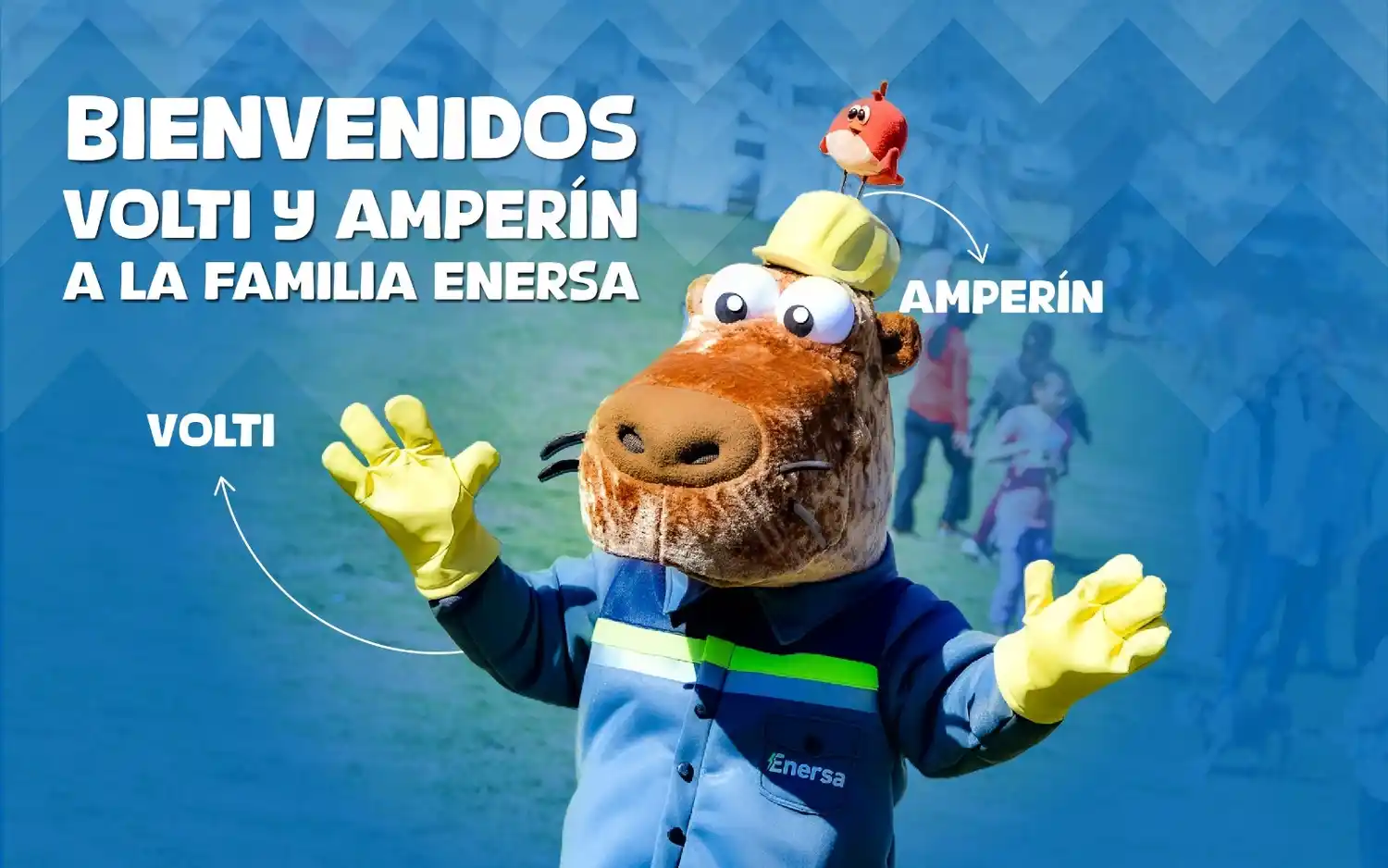 ¿Disociados de la realidad?